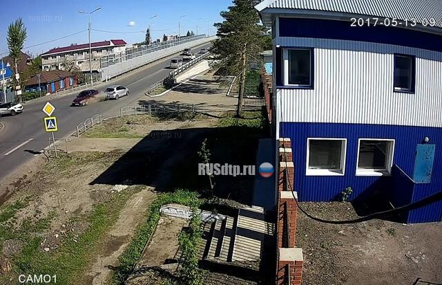 Снова ДТП и собаки