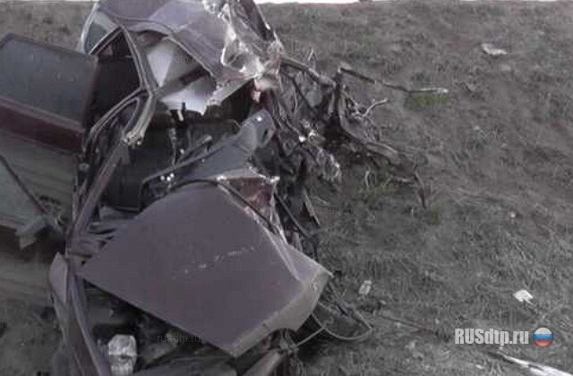 Пьяный фуровод натворил… 