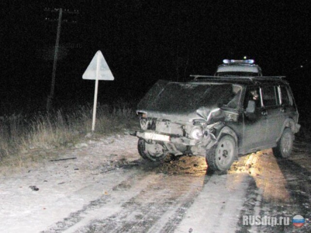Мать и сын попали в ДТП 
