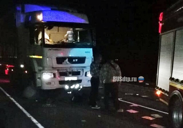На трассе «Тамбов — Пенза» грузовик сбил четырех человек 