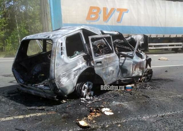 Семья сгорела в автомобиле на трассе М-5 в Пензенской области 