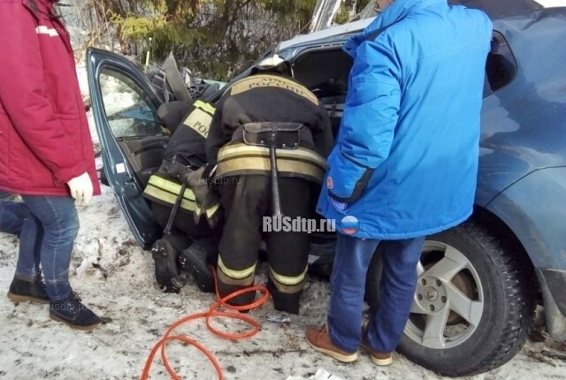 Двое погибли в ДТП с автобусом во Владимирской области 