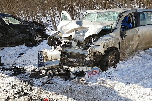 Мужчина и женщина погибли в ДТП в Тверской области 