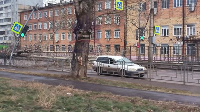 В Красноярске дерево упало на проезжающий автомобиль 