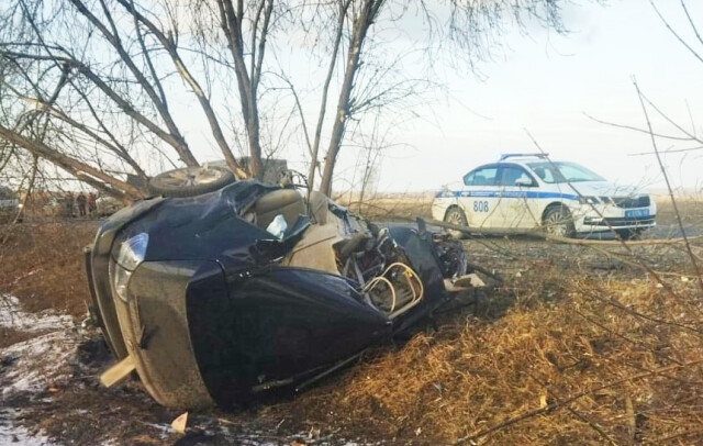 «Лексус» разорвало на части и намотало на дерево в результате ДТП в Кузбассе 