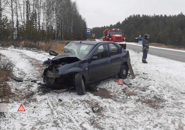 Пожилые супруги попали в смертельное ДТП в Нижегородской области 