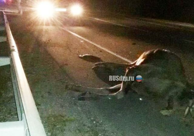 Четыре человека погибли при наезде автомобиля на лося в Псковской области 
