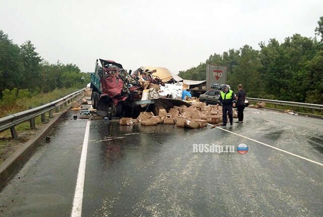 Два большегруза столкнулись на трассе М-5 под Рязанью 