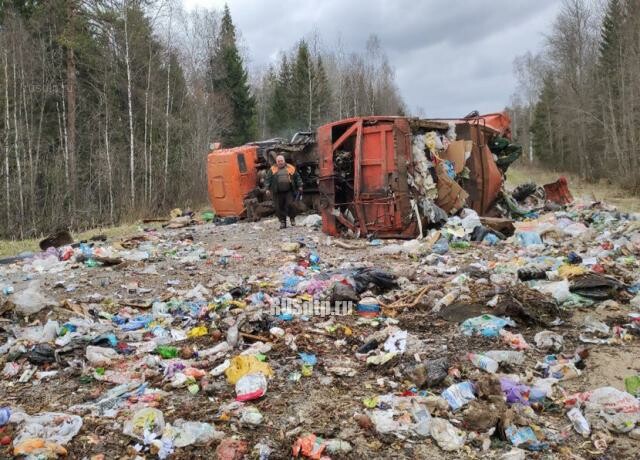 Военный грузовик и мусоровоз столкнулись в Новгородской области 