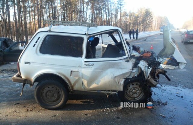 Трое погибли в ДТП в Ульяновской области 