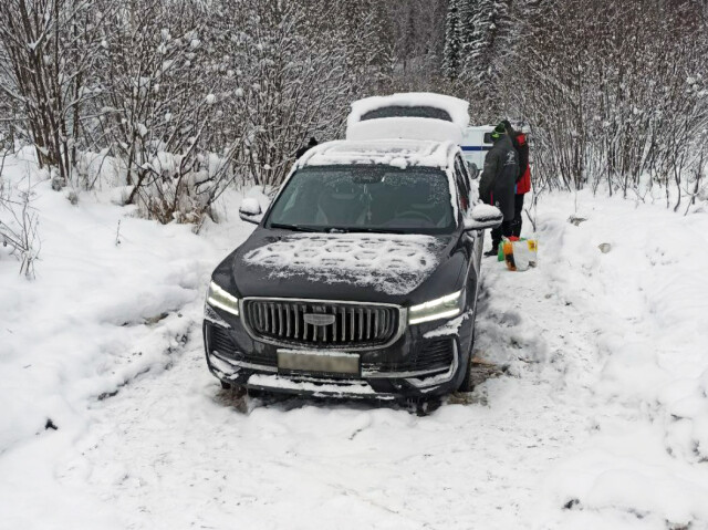 «Ехали по навигатору»: челябинская семья встретила Новый год в застрявшей в лесу машине 