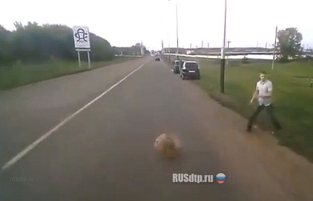 Камневержец 