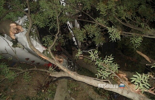 Фура протаранила легковушку, погибли 4 человека 