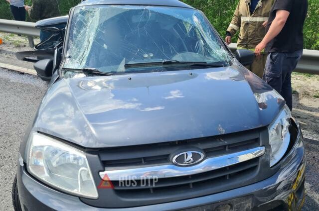 В Рязанской области в ДТП погибла пассажирка «Лады» 