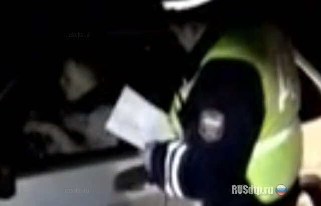 Суровый инспектор 