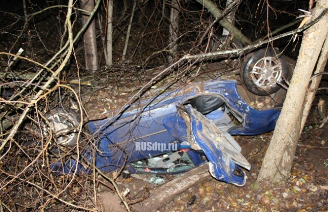 В Удмуртии пьяный водитель погубил своего пассажира 