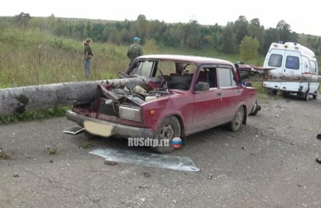 Дерево проткнуло \»Жигули\» насквозь в Пермском крае 