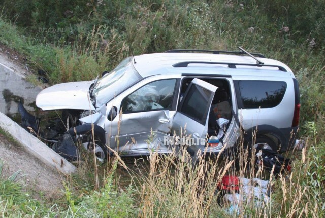 В Кировской области семья попала в смертельное ДТП из-за выбежавшего на дорогу кабана 