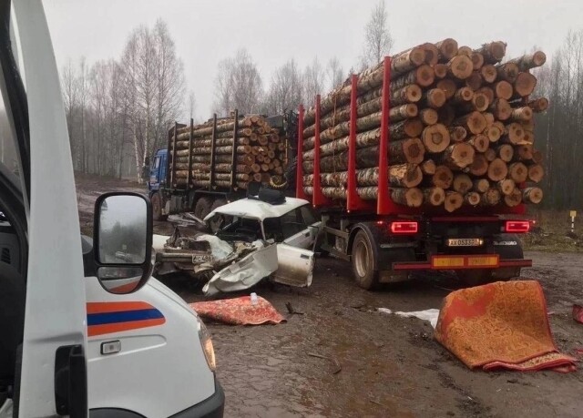 В Пермском крае «Жигули» врезались в лесовоз: погибли женщина и младенец 