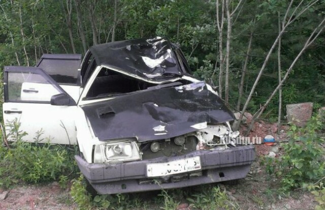 Автомобиль сбил лося на трассе Пермь — Екатеринбург 