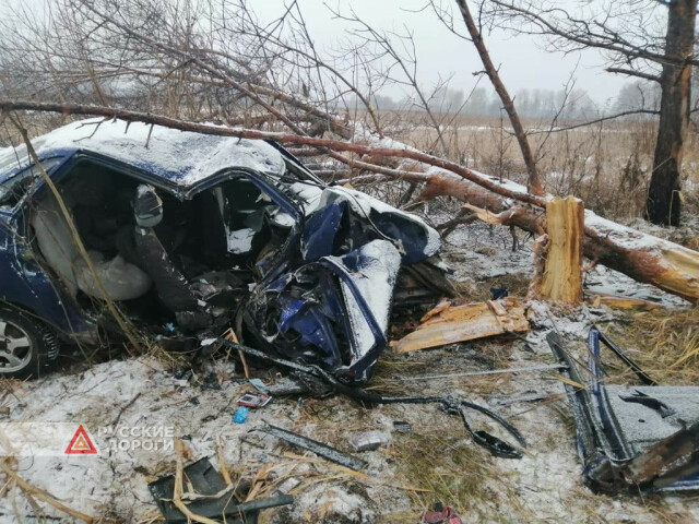 Пассажир «десятки» разбился в Омской области 