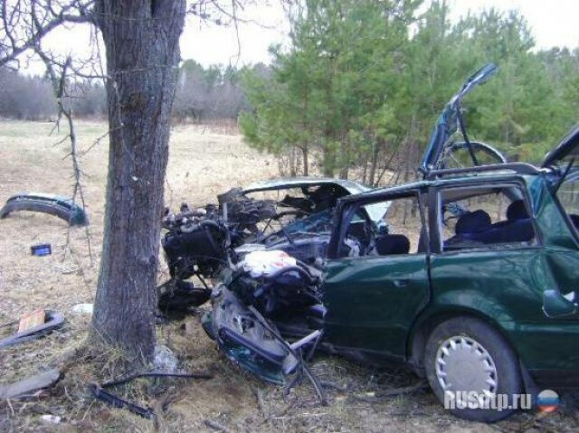 В Брестской области «Audi А4» врезался в дерево 