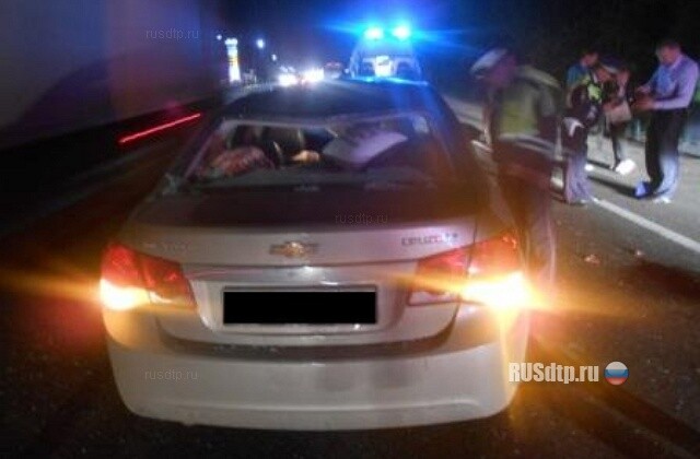 Во Владимире лось бросился под колеса 