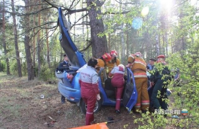 Ford врезался в дерево — 20-летний водитель погиб 