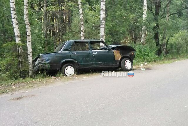 В Ивановской области пьяная компания на ВАЗе вылетела в кювет. ВИДЕО 