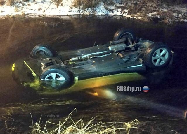 В Гатчине пьяный водитель утопил в реке каршеринговый автомобиль 
