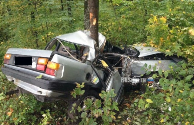 Под Калининградом пьяный водитель «убил» пассажира, врезавшись в дерево 