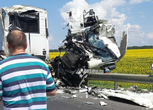 Семья попала в смертельное ДТП на трассе «Каспий» 