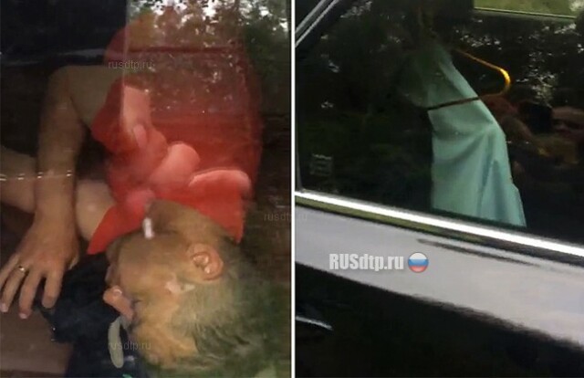 Начальника ГИБДД Краснотурьинска нашли спящим в лесу после ДТП 