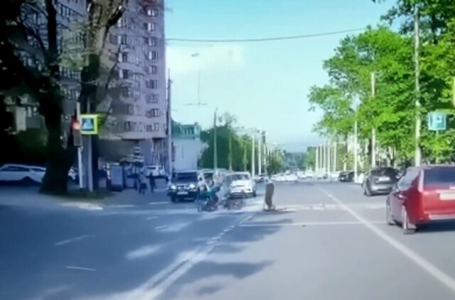 В Ставрополе мужчина на велосипеде сбил женщину с детьми 