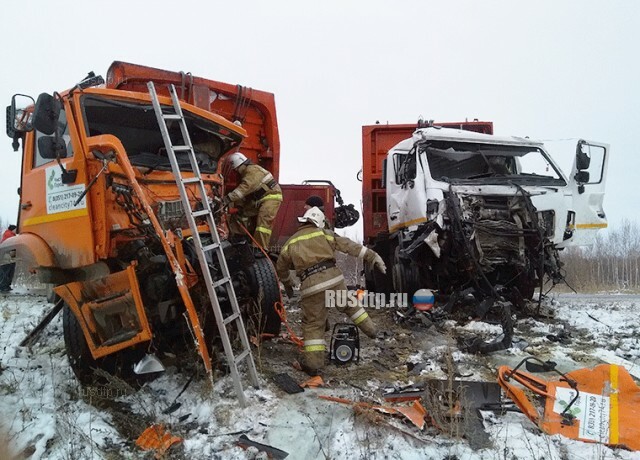 В Челябинской области в ДТП с участием мусоровозов погибли два человека 