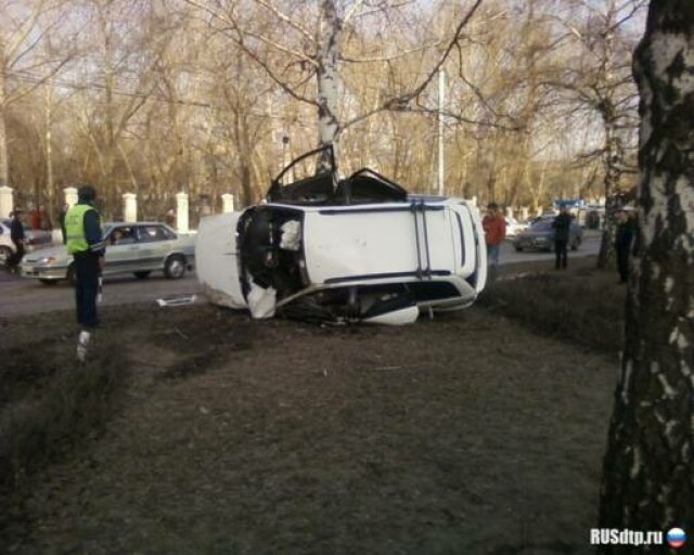 В Барнауле водитель врезался в дерево 