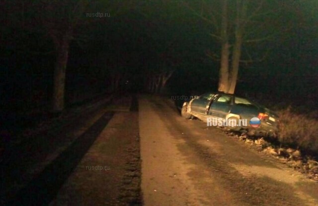 «Audi» столкнулся с деревом в Калининградской области. Погиб пассажир 