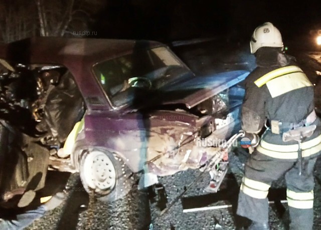Два водителя погибли в ДТП на трассе  Челябинск — Новосибирск 