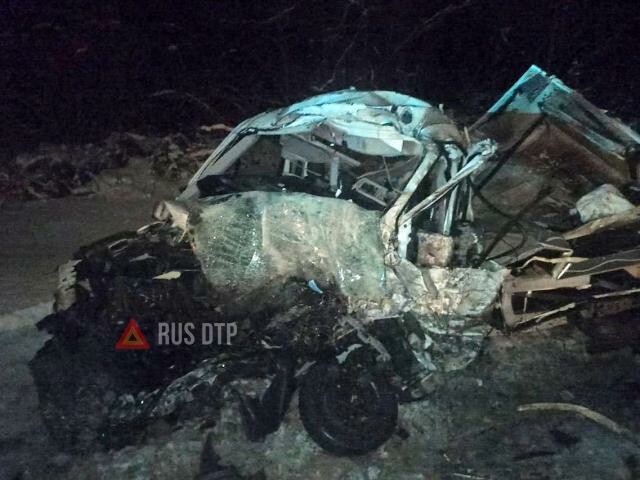 Трое погибли в массовом ДТП на трассе М-10 «Россия» 