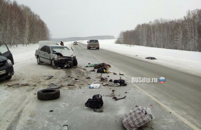 Мужчина и женщина погибли в ДТП на трассе «Новосибирск — Ленинск-Кузнецкий» 