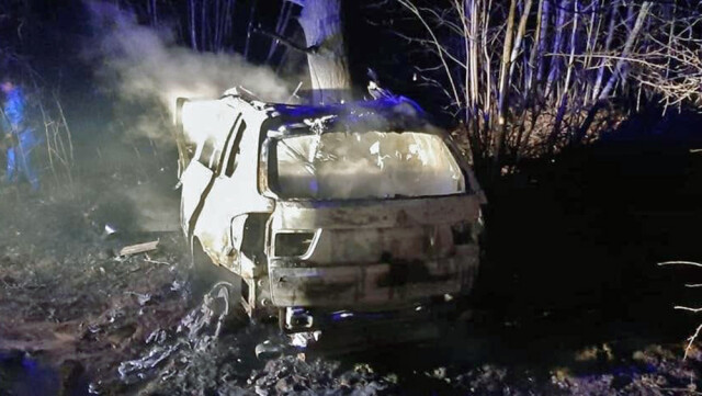 В Новгородской области BMW X5 врезался в дерево и загорелся: погибли две женщины и мужчина 