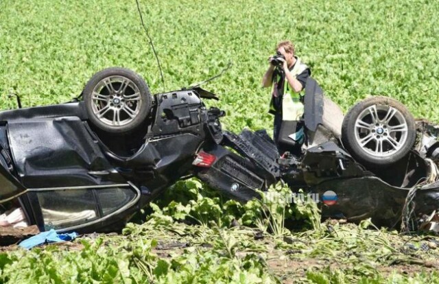 BMW уничтожился об дерево в Германии 