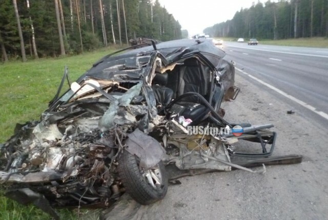 Во Владимирской области в массовом ДТП с лесовозом погиб полицейский 