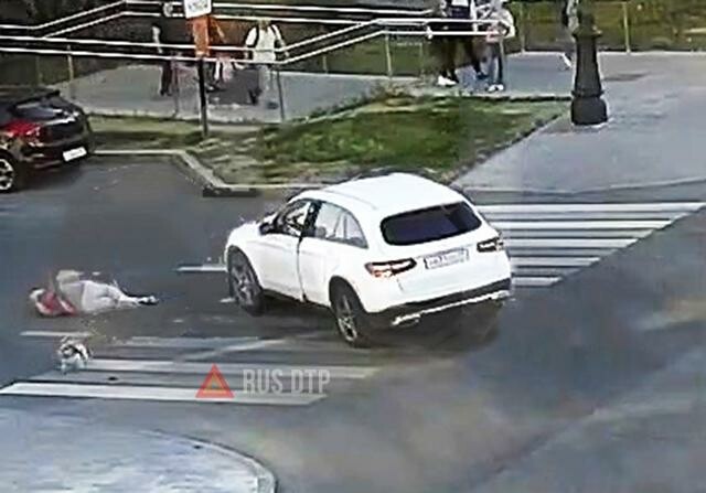Девушка сбила женщину с собакой в Перми