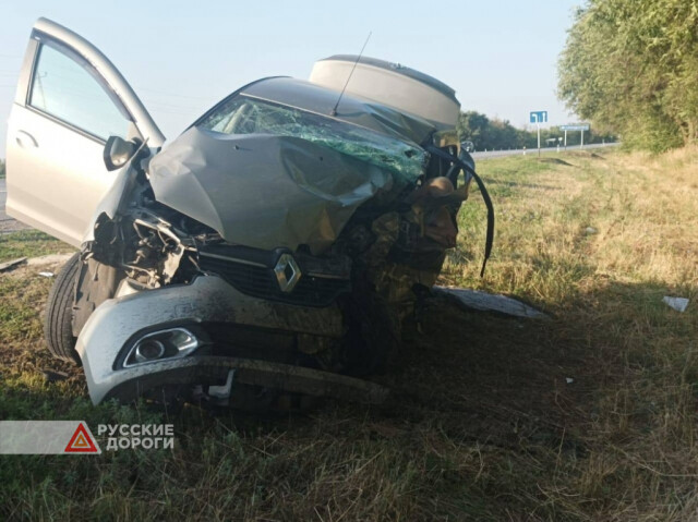 Водитель и пассажир «Логана» разбились в Ростовской области 