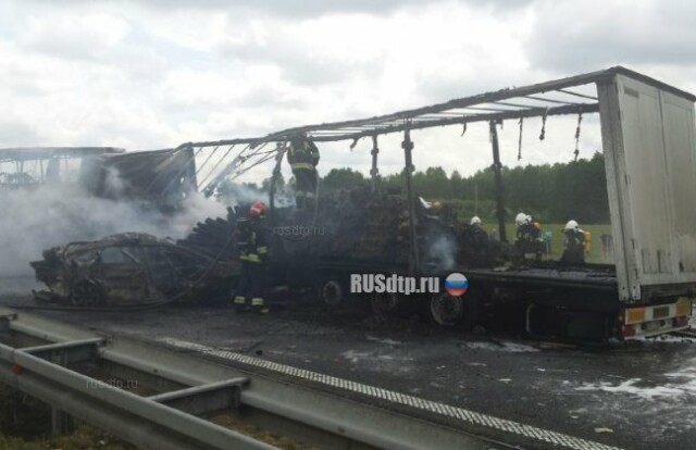 Сущий ад на автомагистрали в Польше 