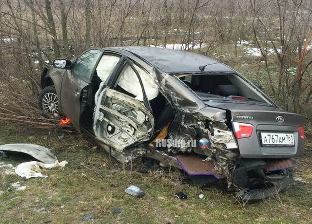 Мать и сын погибли в ДТП в Ростовской области 