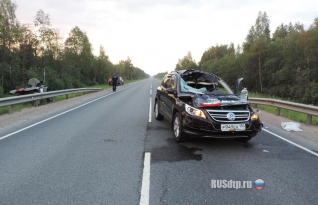 На трассе М-9 «Балтия» «Volkswagen Tiguan» сбил лося 