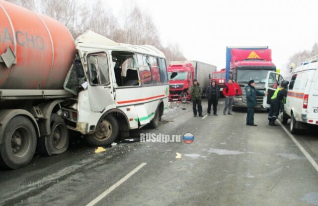В массовом ДТП с участием автобуса и грузовиков под Новосибирском погиб человек 