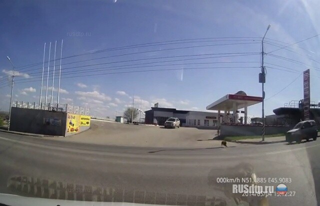 Сбил собаку 